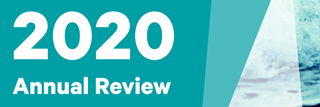 Annual Review